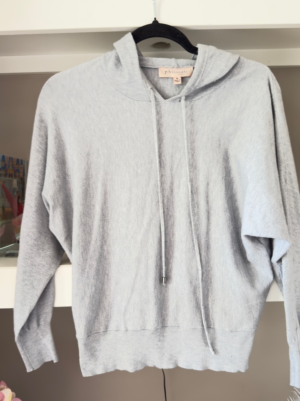 Philosophy Soft Light Gray Hooded Sweatshirt